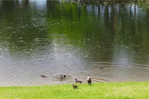 [Address not provided], Coconut Creek, FL 33063 - Photo 17