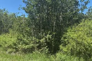 0 Sweet Hill Rd, Other City - In The State Of Florida, FL 33868 - Photo 3