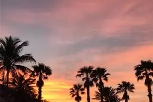 5 Vista Palm Ln, Vero Beach, FL 32962 - Photo 15