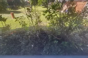 2821 SE 5th Cir, Boynton Beach, FL 33435 - Photo 37