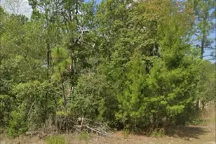 3808 W Indian Rock Pl, Citrus Springs, FL 34433 - Photo 3