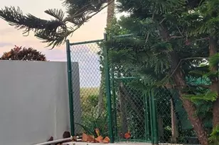 3200 NE 7th Ct Unit, Pompano Beach, FL 33062 - Photo 29