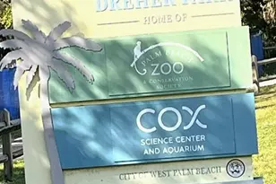 946 Alamanda Rd, West Palm Beach, FL 33405 - Photo 19