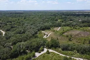 0 NW 300th St, Okeechobee, FL 34972 - Photo 7