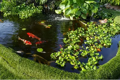 5973 SW 54th Ct, Davie, FL 33314 - Photo 5