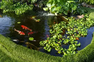 5973 SW 54th Ct, Davie, FL 33314 - Photo 5