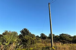 2025 Cabbage Ln, Okeechobee, FL 34974 - Photo 5