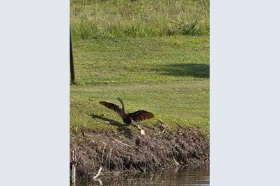 5274 SE 67th Ave, Okeechobee, FL 34974 - Photo 39