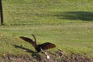 5274 SE 67th Ave., Okeechobee, FL 34974 - Photo 39