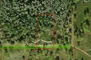 0 County Rd 54 E, Kathleen, FL 33849 - Photo 3