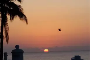 900 NE 18th Ave Unit, Fort Lauderdale, FL 33304 - Photo 21