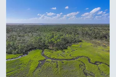 0  Mango Lane, Fernandina Beach, FL 32034 - Photo 9