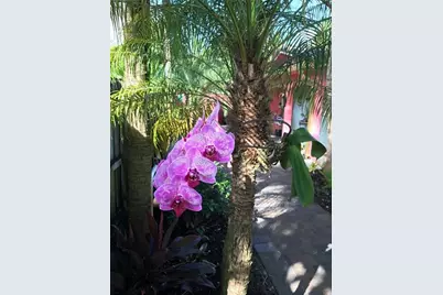 1334 NE 16th Ave, Unit #Rear, Fort Lauderdale, FL 33304 - Photo 27