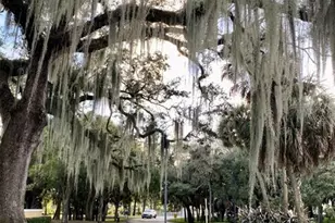 2400 NW 33rd St, Oakland Park, FL 33309 - Photo 13