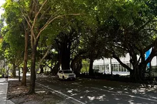 3410 Coral Wy, Miami, FL 33145 - Photo 25