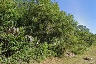 4702 Vera Ave, Lehigh Acres, FL 33971 - Photo 5