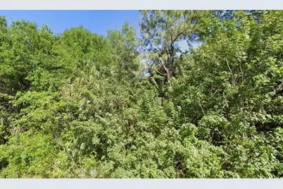 4702  Vera Ave, Lehigh Acres, FL 33971 - Photo 3