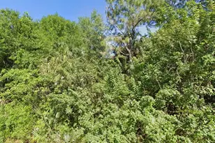 4702 Vera Ave, Lehigh Acres, FL 33971 - Photo 3