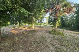 16431 NW 254th St, Okeechobee, FL 34972 - Photo 3