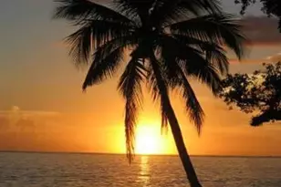 31547 Ave D, Big Pine Key, FL 33043 - Photo 23