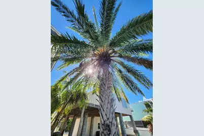 31547  Avenue D, Big Pine Key, FL 33043 - Photo 37