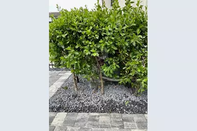 4668  Banker Ter, Davie, FL 33314 - Photo 33