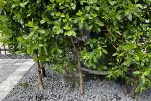 4668 Banker Terrace, Davie, FL 33314 - Photo 33