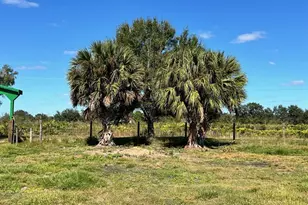 0 NW 240th, Okeechobee, FL 34972 - Photo 3