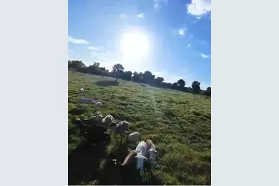 0 NW 240th, Okeechobee, FL 34972 - Photo 13