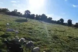 0 NW 240th, Okeechobee, FL 34972 - Photo 13