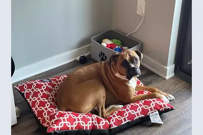 1436 NE 2nd Ave, Unit #2, Fort Lauderdale, FL 33304 - Photo 3