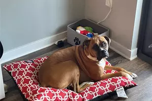 1436 NE 2nd Ave, Fort Lauderdale, FL 33304 - Photo 3