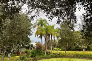 14625 NW 298th St, Okeechobee, FL 34972 - Photo 5