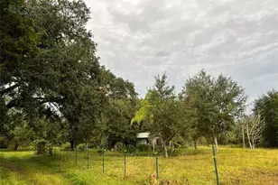 14625 NW 298th St, Okeechobee, FL 34972 - Photo 11