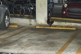 850 N Miami Ave, Miami, FL 33136 - Photo 29