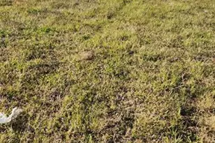 1724 Andalusia Blvd, Cape Coral, FL 33909 - Photo 5