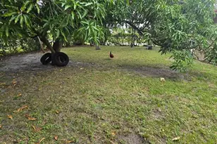 17230 NW 10th Ct, Miami, FL 33169 - Photo 11