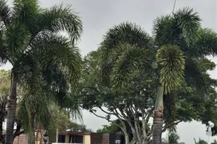 912 Springdale Cir, Palm Springs, FL 33461 - Photo 15