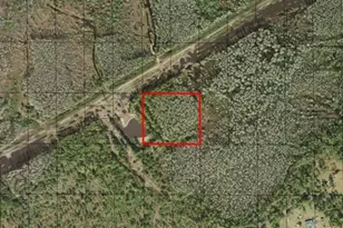 0 Holopaw Groves Rd, Saint Cloud, FL 34772 - Photo 3