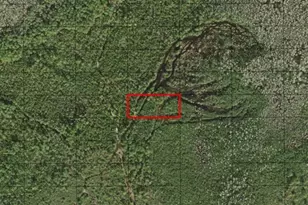 0 Holopaw Groves Rd, Saint Cloud, FL 34772 - Photo 3