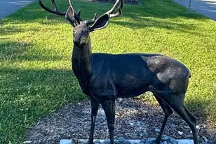 2420 Deer Creek Country Club Blvd, Deerfield Beach, FL 33442 - Photo 21