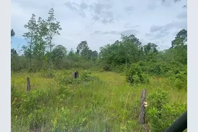 0  Holopaw Groves Rd, Saint Cloud, FL 34772 - Photo 1