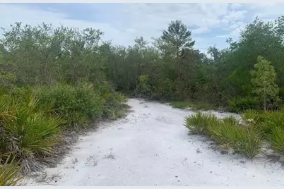 0  Holopaw Groves Rd, Saint Cloud, FL 34772 - Photo 3