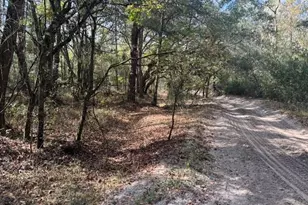 0 County Rd 54 E, Kathleen, FL 33849 - Photo 3