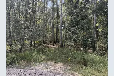 0  County Rd 54 E, Kathleen, FL 33849 - Photo 1