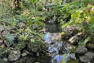 57 Deer Creek Rd, Deerfield Beach, FL 33442 - Photo 29