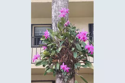 367 S Federal Hwy, Unit #C225, Deerfield Beach, FL 33441 - Photo 23