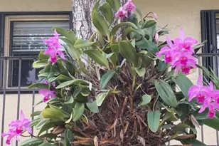 367 S Federal Hwy, Deerfield Beach, FL 33441 - Photo 23