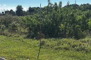 6674 SE 33rd Trace, Okeechobee, FL 34974 - Photo 3