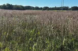 6674 SE 33rd Trace, Okeechobee, FL 34974 - Photo 5